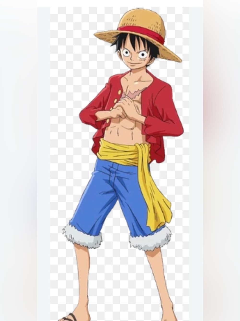 One Piece Luffy’s hat from one piece night in Dodger’s Stadium Halloween costume